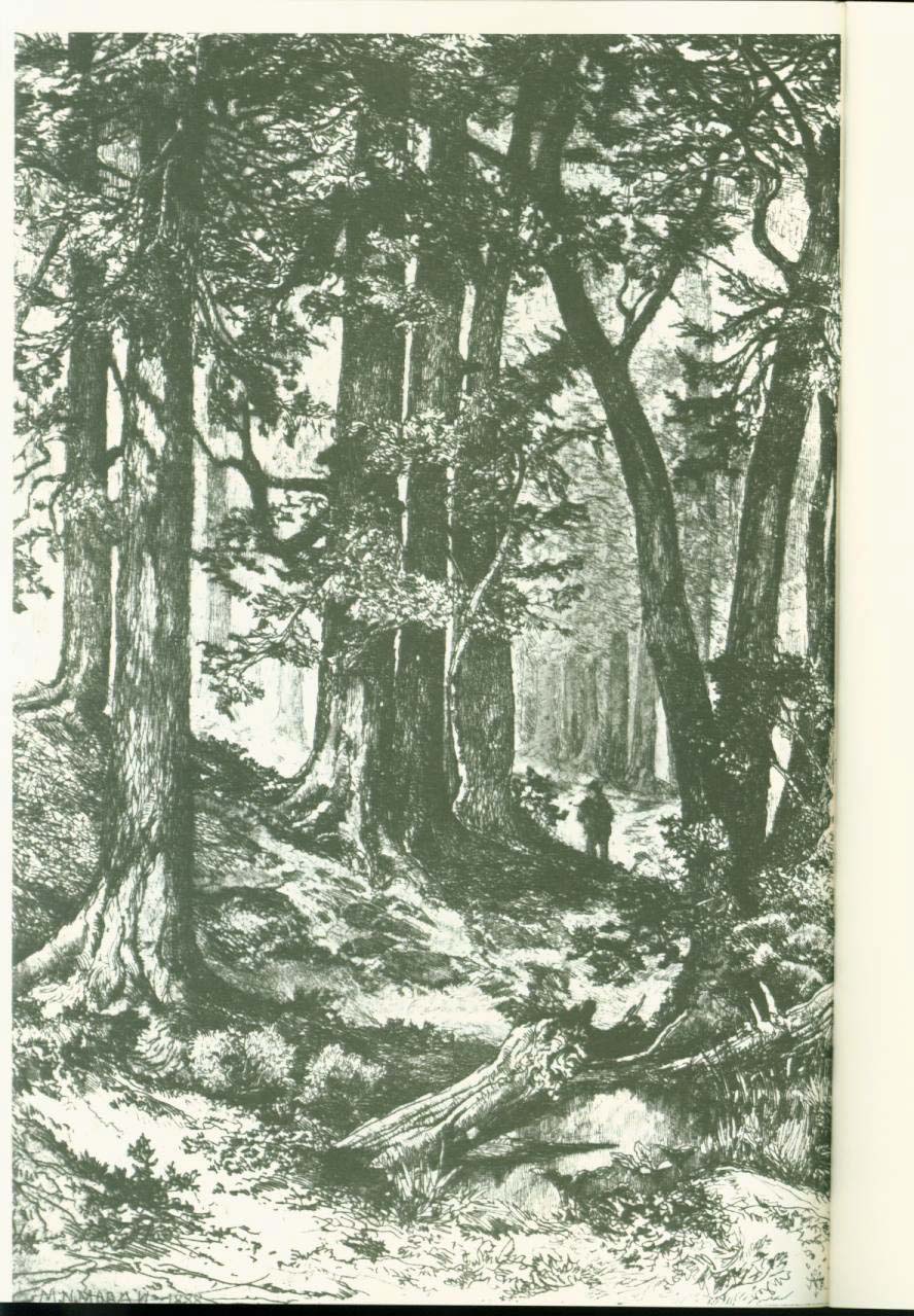 Mountaineering in the Kings River Country, 1864. vist0042c
